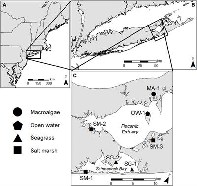 Ecosystem Metabolism Modulates the Dynamics of Hypoxia and Acidification Across Temperate Coastal Habitat Types